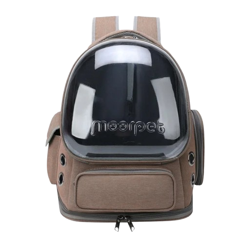 Sac explorer