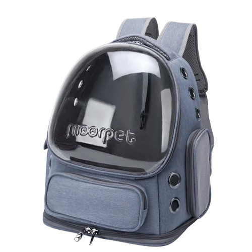 Sac explorer