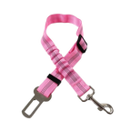 Ceinture du globe trotteur
