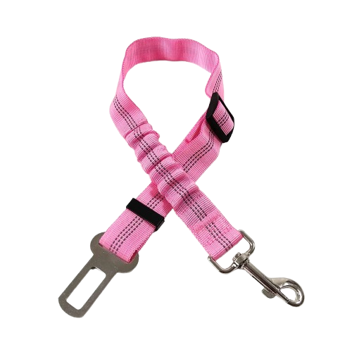 Ceinture du globe trotteur