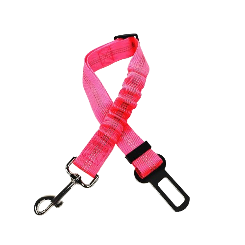 Ceinture du globe trotteur