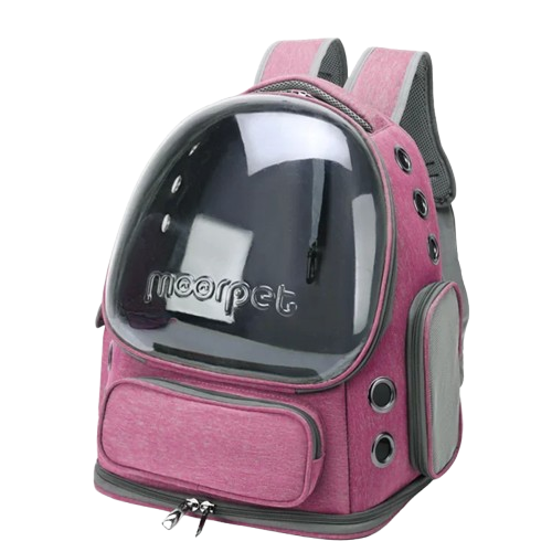 Sac explorer