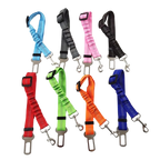 Ceinture du globe trotteur