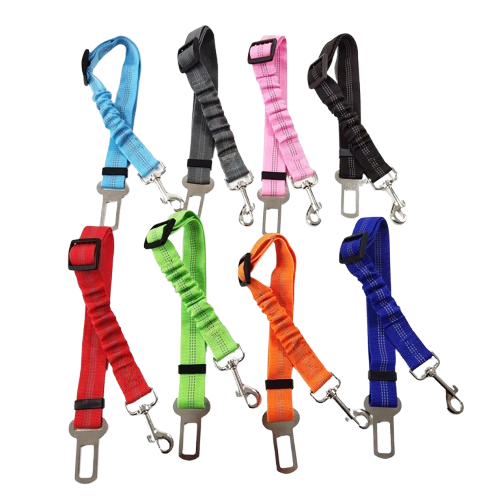 Ceinture du globe trotteur