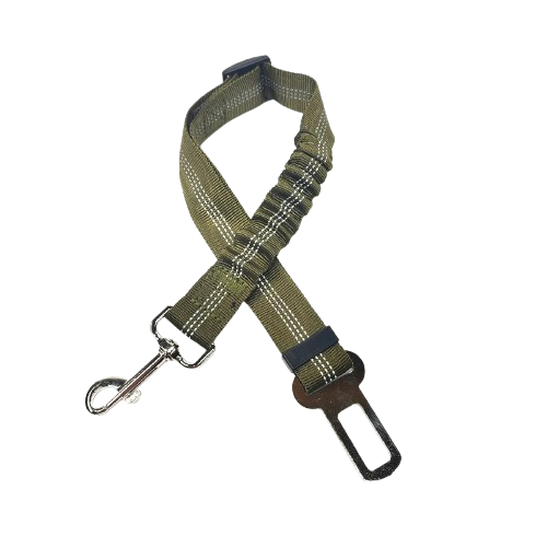Ceinture du globe trotteur