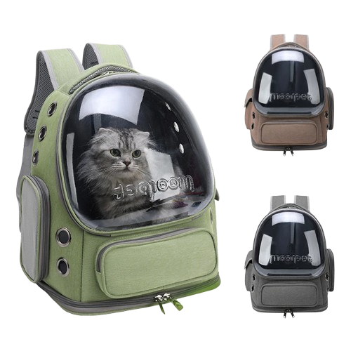Sac explorer