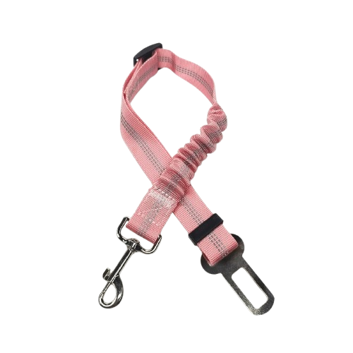 Ceinture du globe trotteur